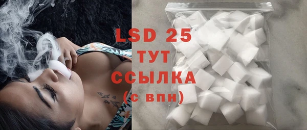 прущие грибы Алексин