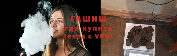 индика Алзамай