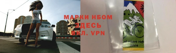 прущие грибы Алексин