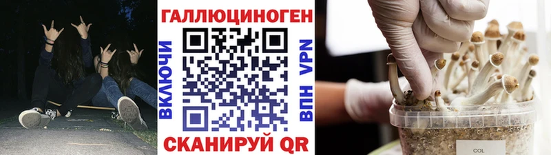 Псилоцибиновые грибы прущие грибы  хочу   Иркутск 