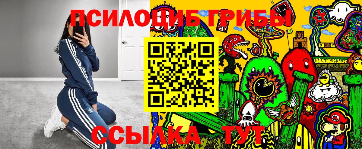 Иркутск  Псилоцибиновые грибы GOLDEN TEACHER  Галлюциногенные грибы Psilocybe  Вход с VPN 