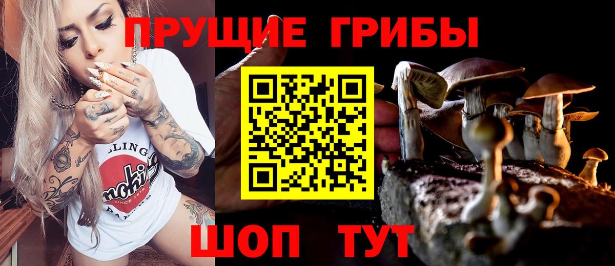 Галлюциногенные грибы GOLDEN TEACHER Иркутск